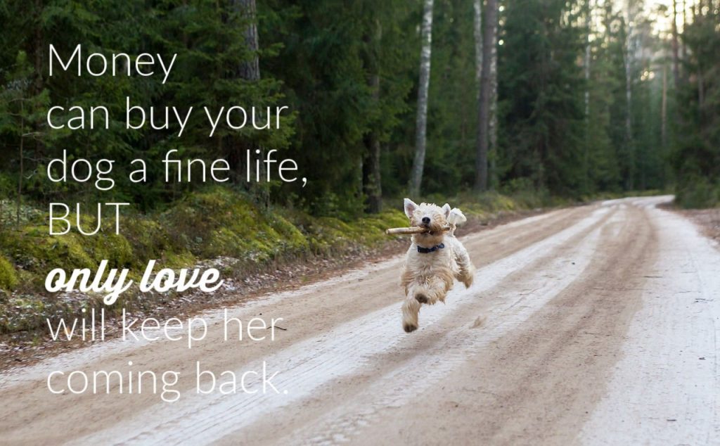 dog-life-quote-1