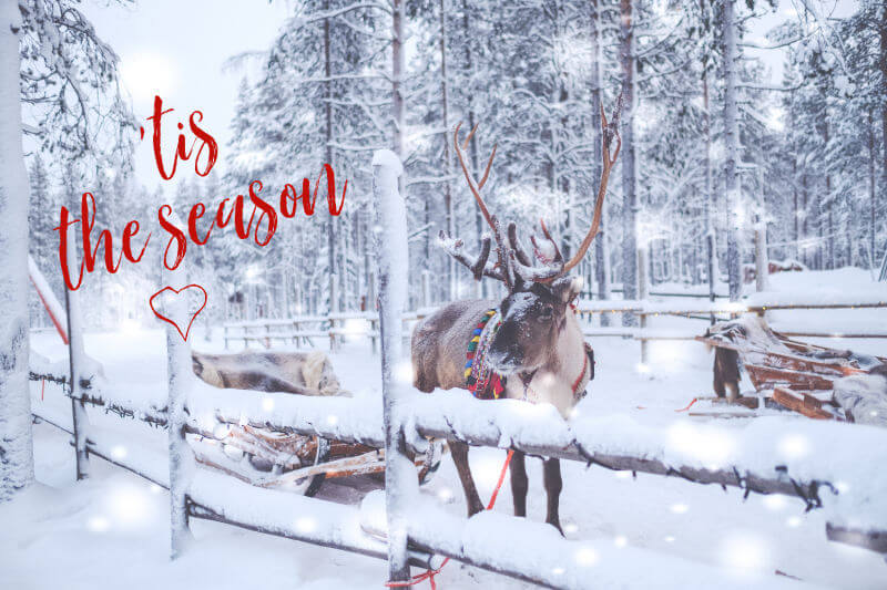 seasonal website