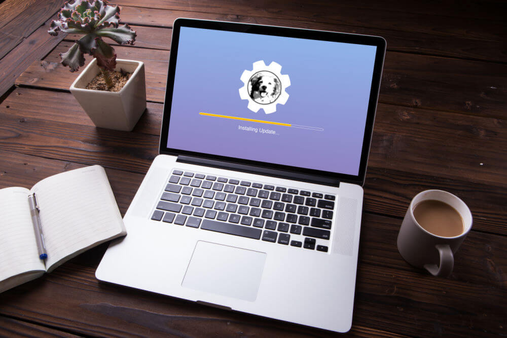 Do it yourself website maintenance.