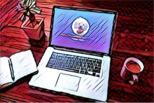 how much does a website cost